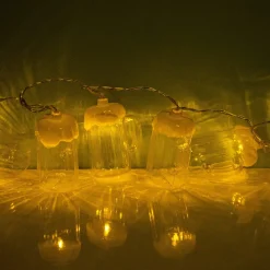 Ditverzinjeniet Verlichting|Bier lichtsnoer