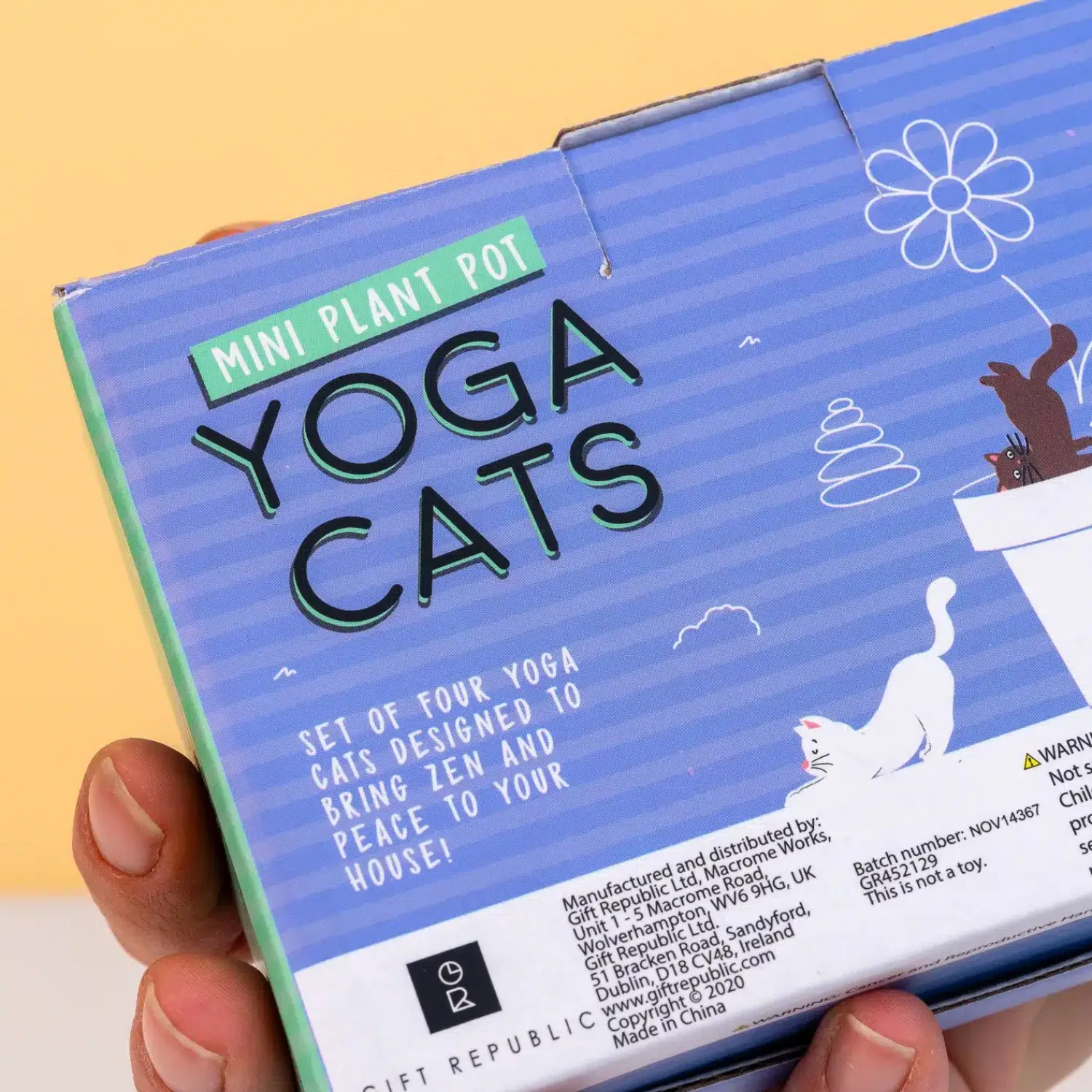 Ditverzinjeniet Bloempotten|Bloempot katten (set van 4)