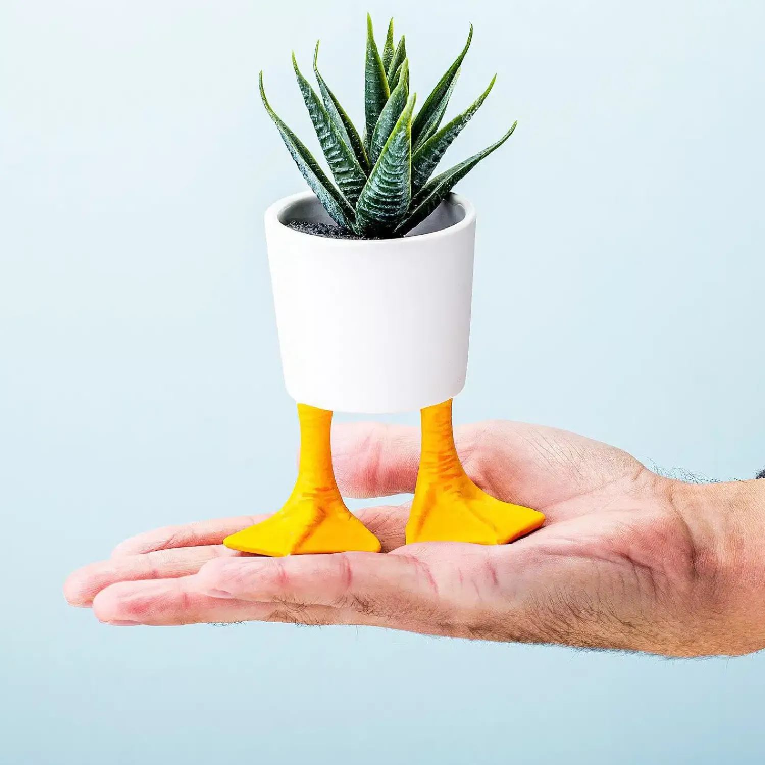 Ditverzinjeniet Bloempotten|Bloempot met eendenpoten