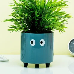 Ditverzinjeniet Vazen|Bloempot met ogen
