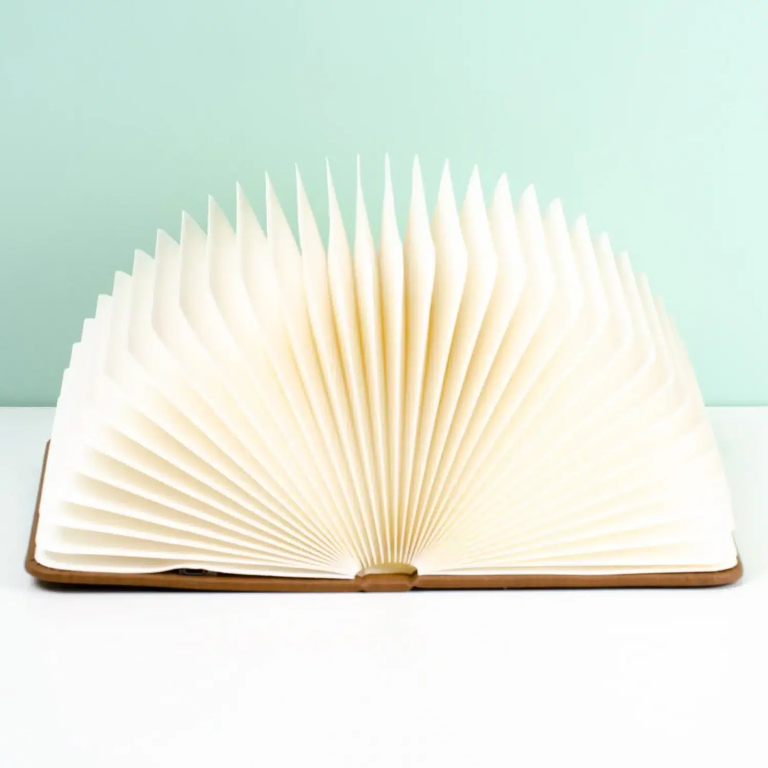 Ditverzinjeniet Verlichting|Boek ledlamp