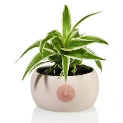 Ditverzinjeniet Bloempotten|Borst Kom