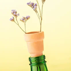 Ditverzinjeniet Vazen|Bottle top herb planters (set van 3)