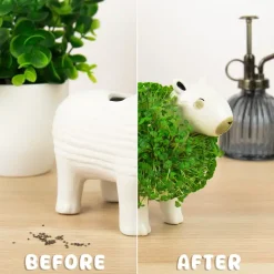 Ditverzinjeniet Bloempotten|Capibara bloempot met zaadjes