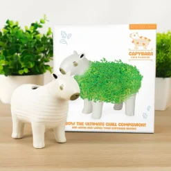 Ditverzinjeniet Bloempotten|Capibara bloempot met zaadjes