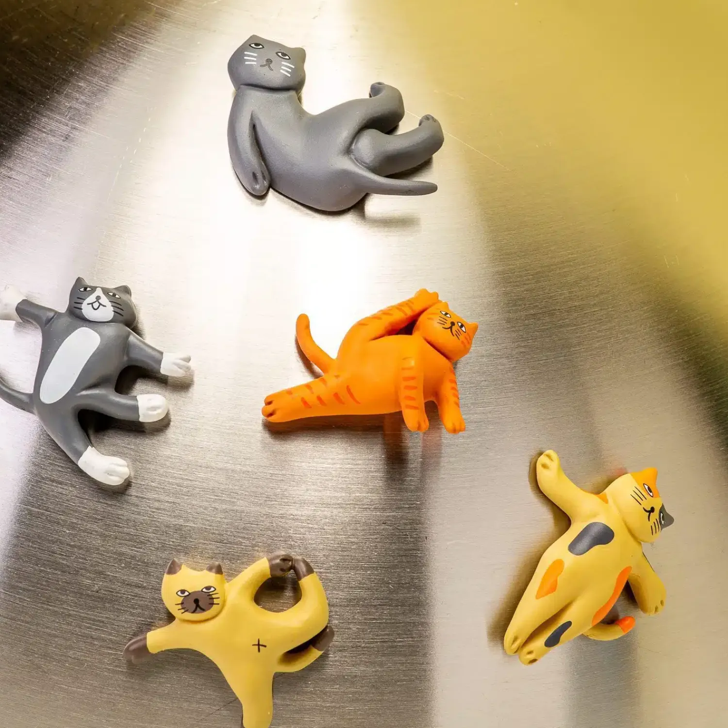 Ditverzinjeniet Sport|Cat yoga magneten (set van 5)