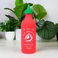 Ditverzinjeniet Verlichting|Chilisaus lamp