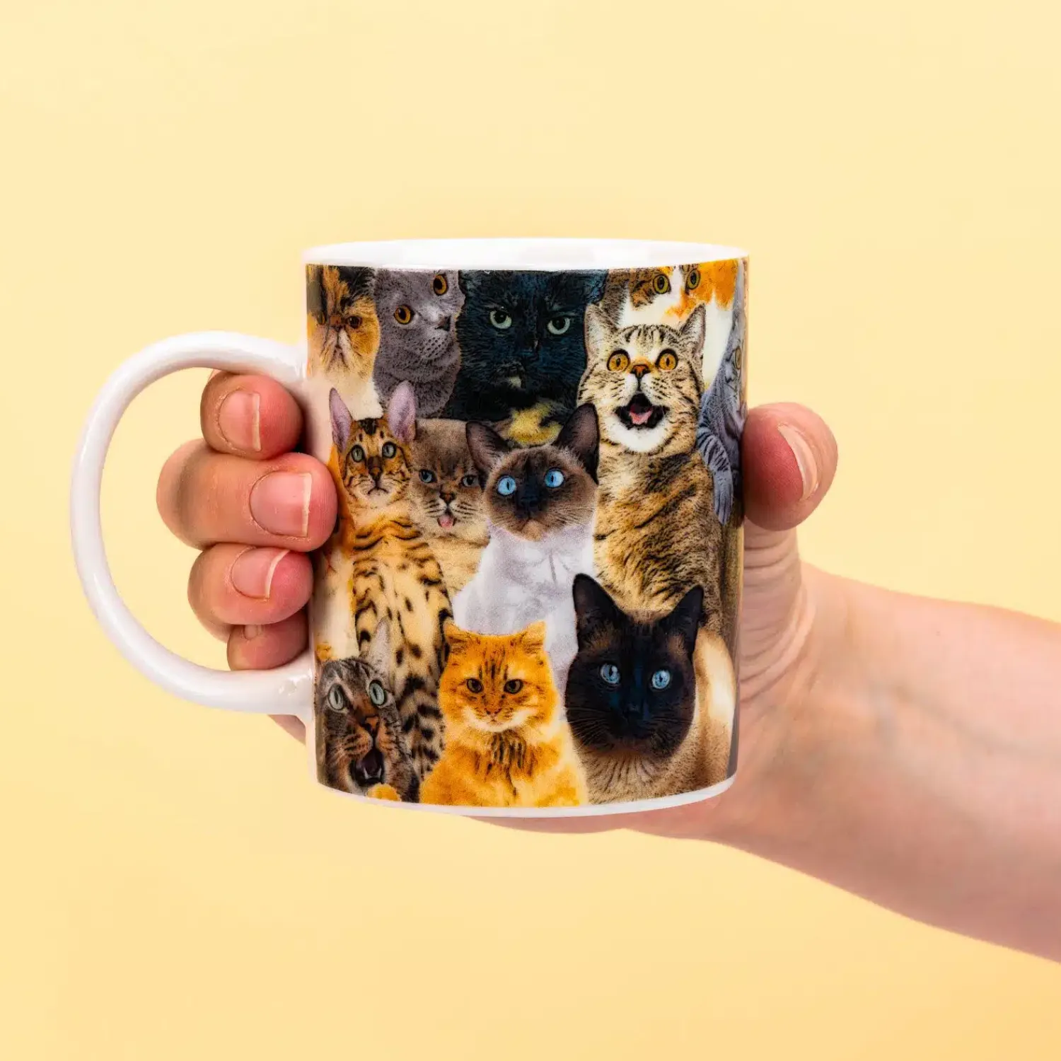 Ditverzinjeniet Mokken & Glazen|Crazy Cat mok