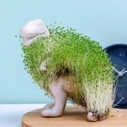 Ditverzinjeniet Bloempotten|Dino bloempot met zaadjes