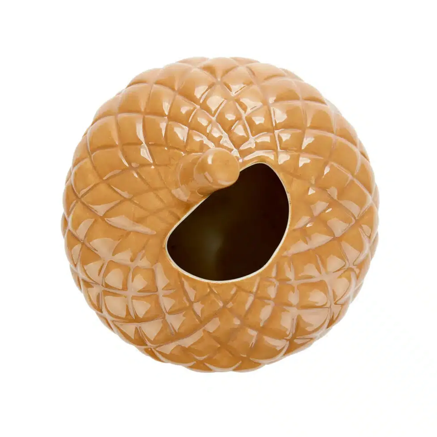 Ditverzinjeniet Vazen|Eikel vaas