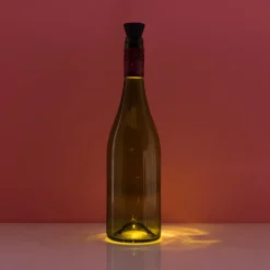 Ditverzinjeniet Duurzaam|Fleslampje op zonne-energie