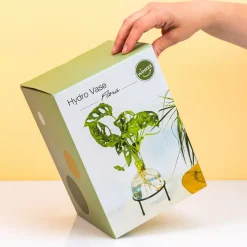 Ditverzinjeniet Vazen|Flora stekjesvaas