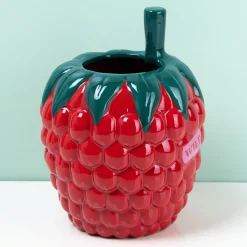 Ditverzinjeniet Vazen|Framboos vaas