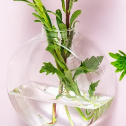 Ditverzinjeniet Vazen|Glazen muurvaasjes (set van 2)