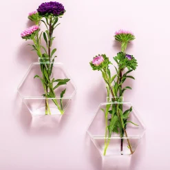 Ditverzinjeniet Vazen|Glazen muurvaasjes (set van 2)