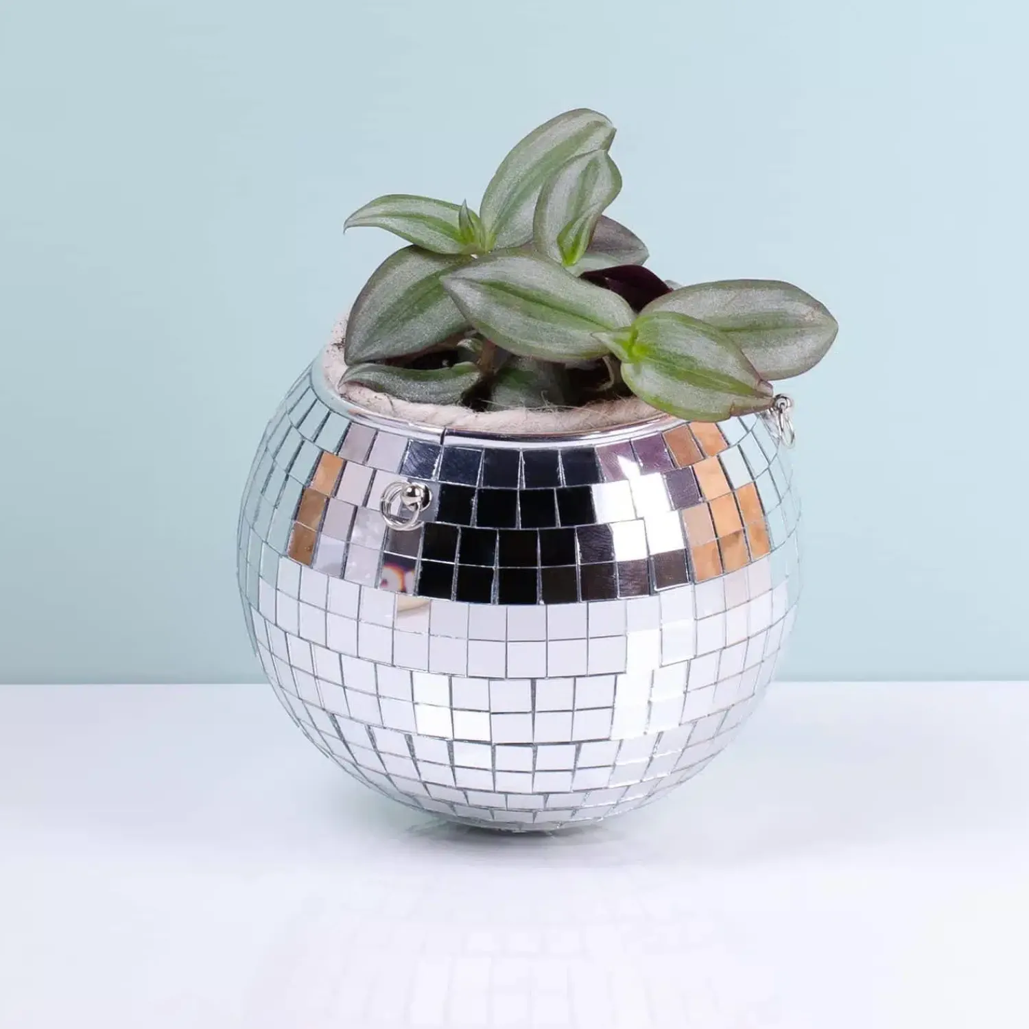 Ditverzinjeniet Bloempotten|Hangende discobal bloempot