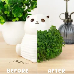 Ditverzinjeniet Bloempotten|Kat bloempot met zaadjes