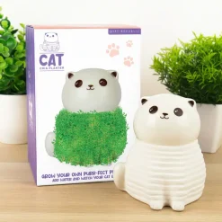 Ditverzinjeniet Bloempotten|Kat bloempot met zaadjes