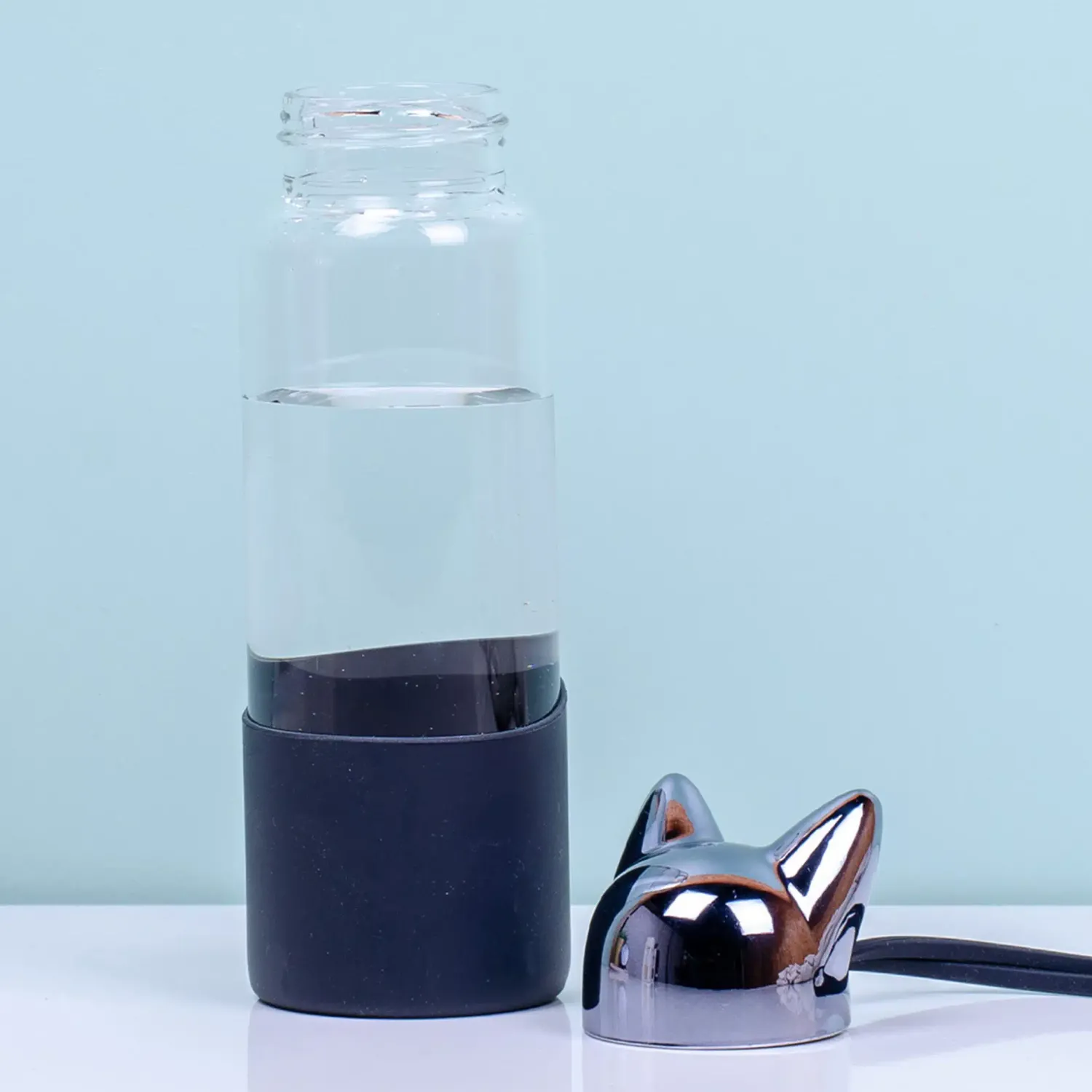 Ditverzinjeniet Duurzaam|Kat waterfles