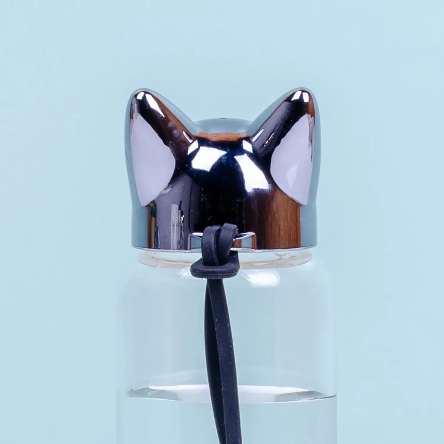 Ditverzinjeniet Duurzaam|Kat waterfles