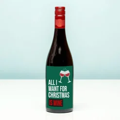 Ditverzinjeniet Wijnflessen|Borrelen|Kerst wijnfles All I want for Christmas is wine