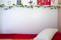 Ditverzinjeniet Verlichting|Klimop lichtsnoer