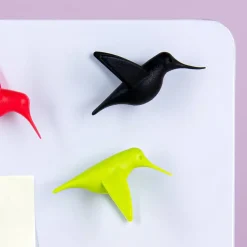 Ditverzinjeniet Kantoor|Kolibrie magneten (set van 6)