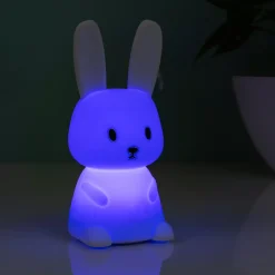 Ditverzinjeniet Slaapkamer|Konijn nachtlampje