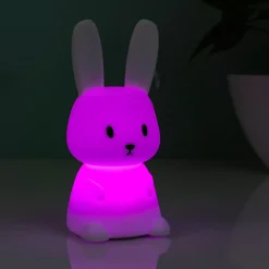 Ditverzinjeniet Slaapkamer|Konijn nachtlampje
