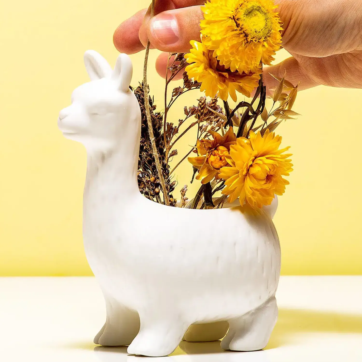 Ditverzinjeniet Bloempotten|Lama bloempot