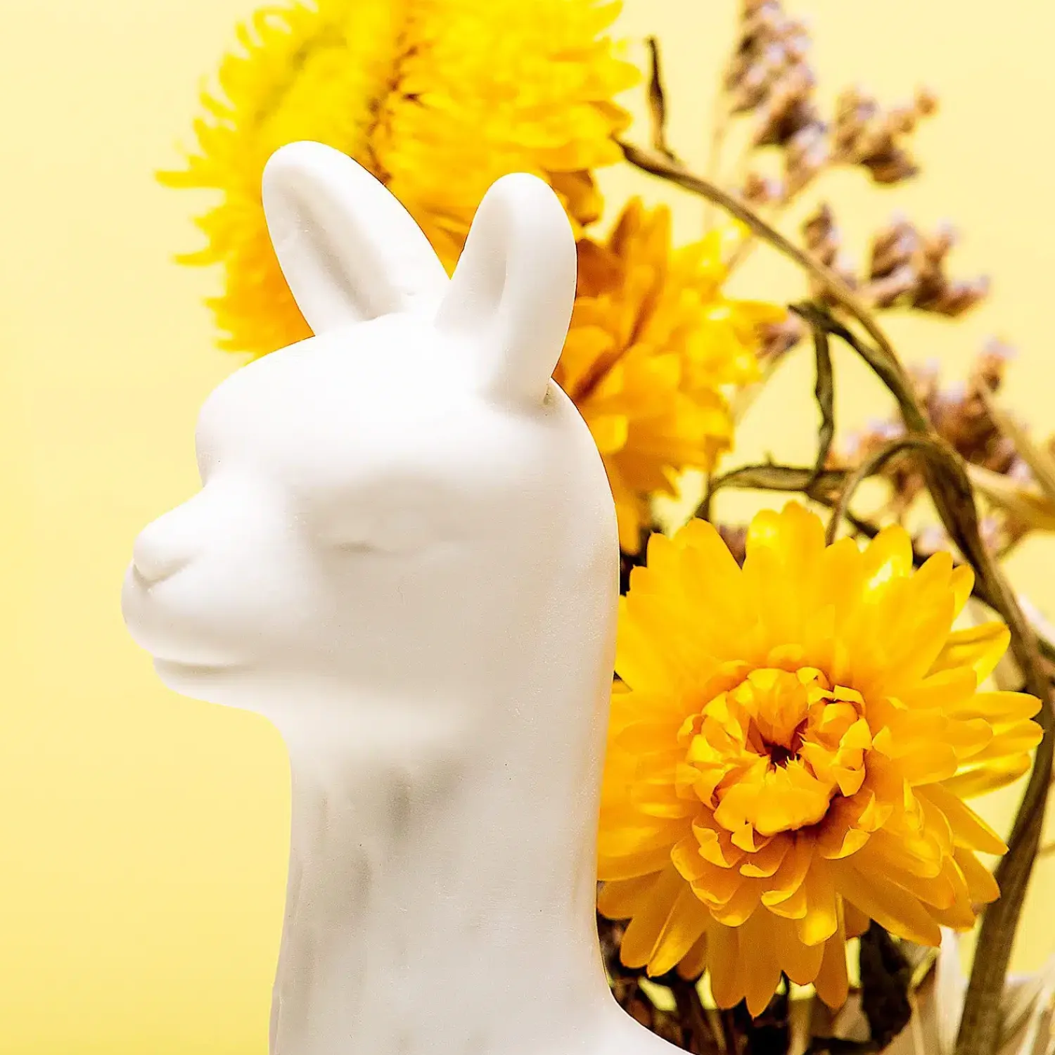 Ditverzinjeniet Bloempotten|Lama bloempot