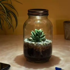 Ditverzinjeniet Verlichting|Lichtgevend terrarium