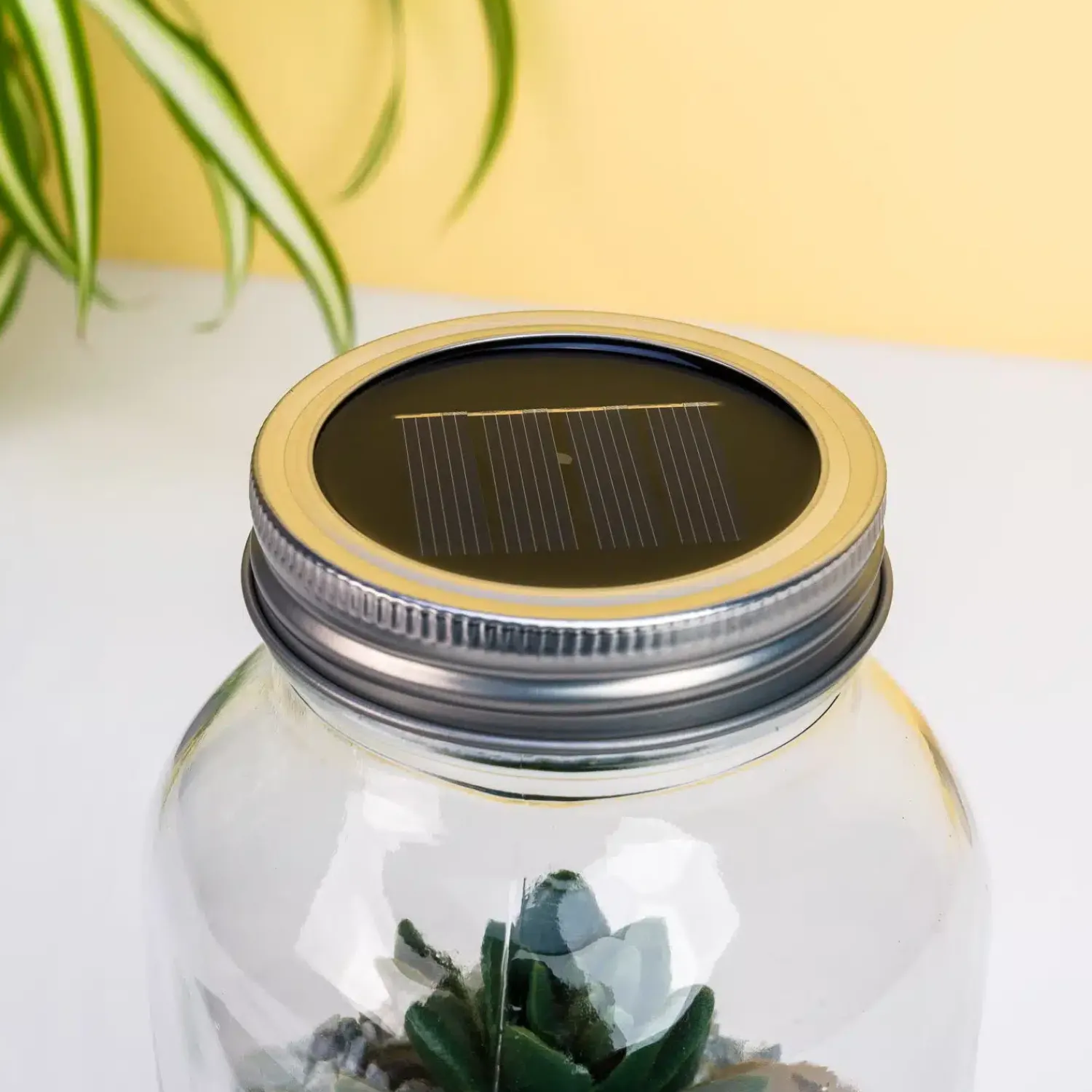 Ditverzinjeniet Verlichting|Lichtgevend terrarium