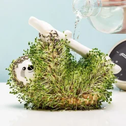 Ditverzinjeniet Bloempotten|Luiaard bloempot met zaadjes