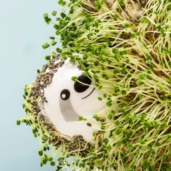 Ditverzinjeniet Bloempotten|Luiaard bloempot met zaadjes