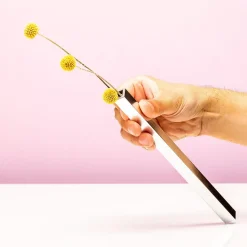 Ditverzinjeniet Vazen|Magnetische Vaasjes (Set Van 5)