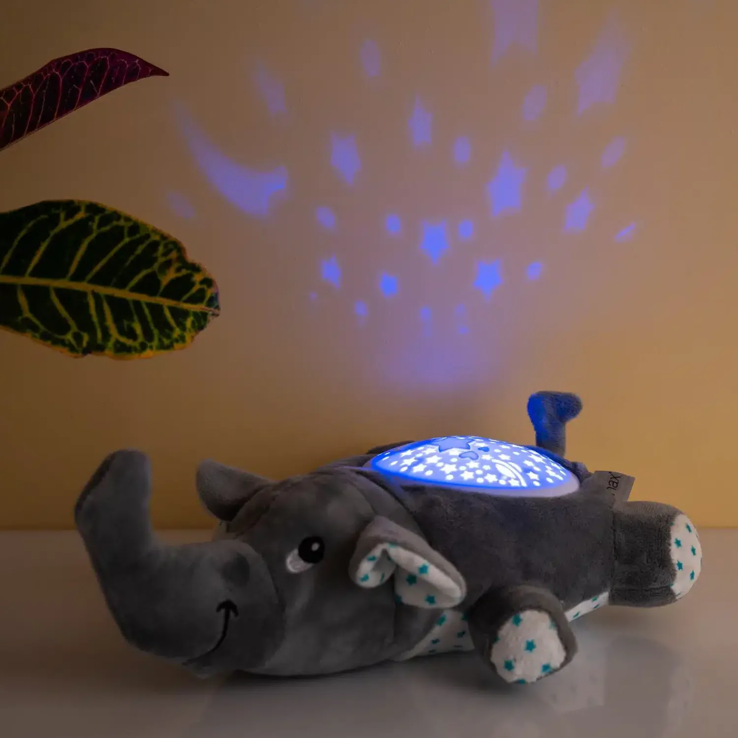 Ditverzinjeniet Verlichting|Olifant projector