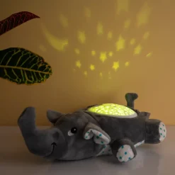 Ditverzinjeniet Verlichting|Olifant projector