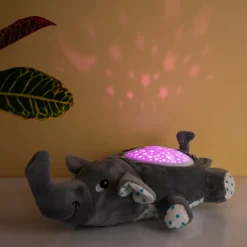 Ditverzinjeniet Verlichting|Olifant projector