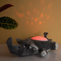 Ditverzinjeniet Verlichting|Olifant projector