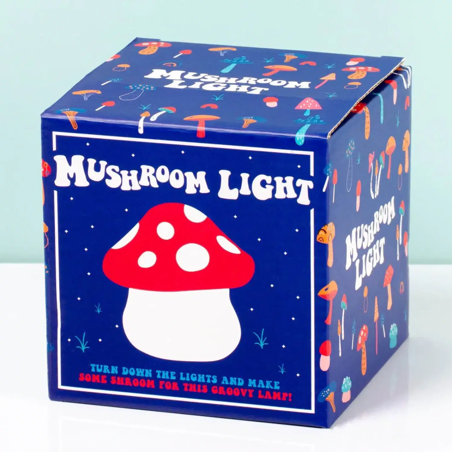 Ditverzinjeniet Verlichting|Paddenstoel lampje
