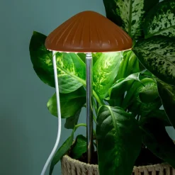 Ditverzinjeniet Verlichting|Paddenstoel plantenlamp