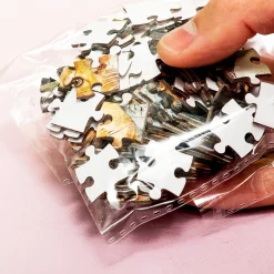 Ditverzinjeniet Puzzels|Pocket puzzel (100 stukjes)
