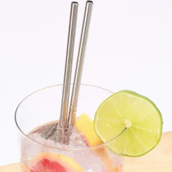 Ditverzinjeniet Duurzaam|Rvs Rietjes (Set Van 10)