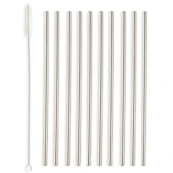 Ditverzinjeniet Duurzaam|Rvs Rietjes (Set Van 10)