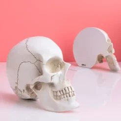 Ditverzinjeniet Boekensteunen|Schedel boekensteunen (set van 2)