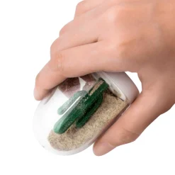 Ditverzinjeniet Peper- En Zoutstellen|Seizoenen specerijenset