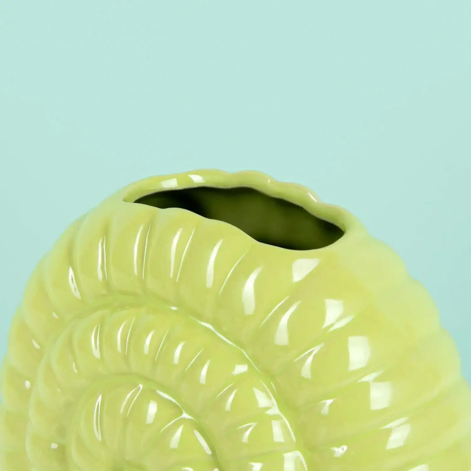 Ditverzinjeniet Vazen|Slak vaas