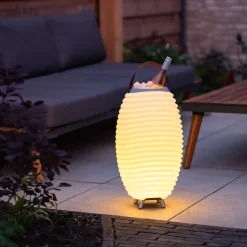 Ditverzinjeniet Muziek|Synergy 50 lamp en speaker