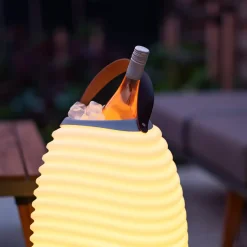 Ditverzinjeniet Muziek|Synergy 50 lamp en speaker